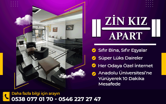 Zin Kız Apart
