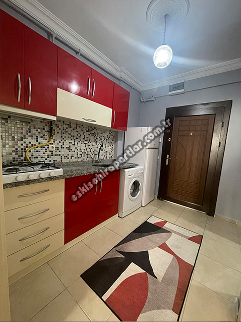 Ocean Life Kız Apart