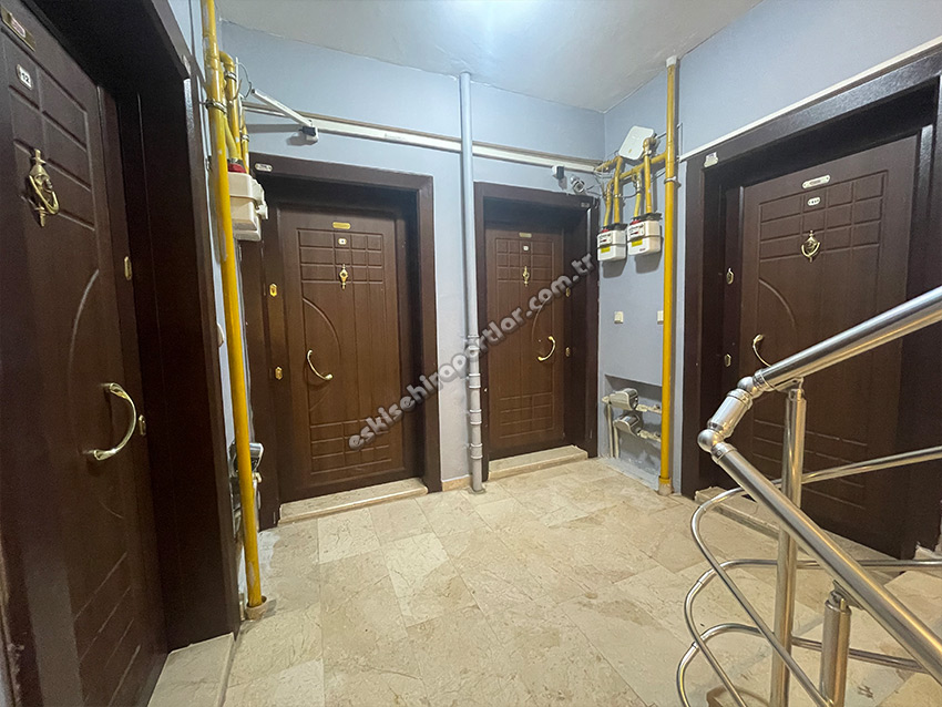 Ocean Life Kız Apart