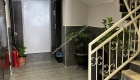 Monalisa Kız Apart