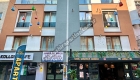Jungle Kız Apart